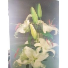 3D Lenticular lens picture-"Flowers' without frame-58x38 CM(Code-LEN0009) 3D Lenticular lens picture-"Flowers' without frame-58x38 CM(Code-LEN0009)