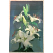 3D Lenticular lens picture-"Flowers' without frame-58x38 CM(Code-LEN0009)