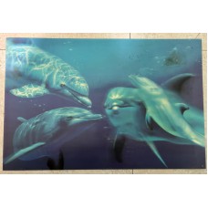 3D Lenticular lens picture-'Dolphins' without frame-58x38 CM -58x38 CM (Code-LEN0019) 3D Lenticular lens picture-'Dolphins' without frame-58x38 CM -58x38 CM (Code-LEN0019)
